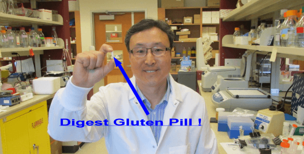 digest gluten pill